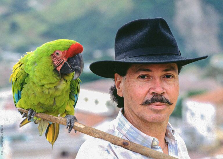 Julio Vizquerra